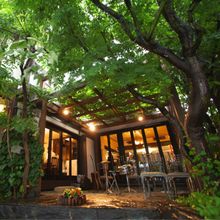 11cfafb5e751d6ab2caf79ec6c027d49f_220x220