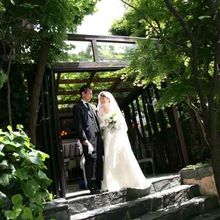 p884008_ce1b8410e1a82cc27fe95647c8553b7720180804132842_220x220