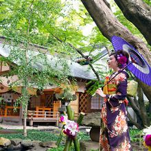 12d406a800b3f7712493c80166b8da6cb_220x220